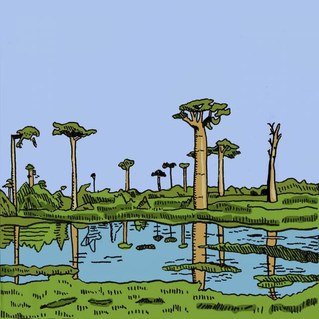 Album cover art for Safari
