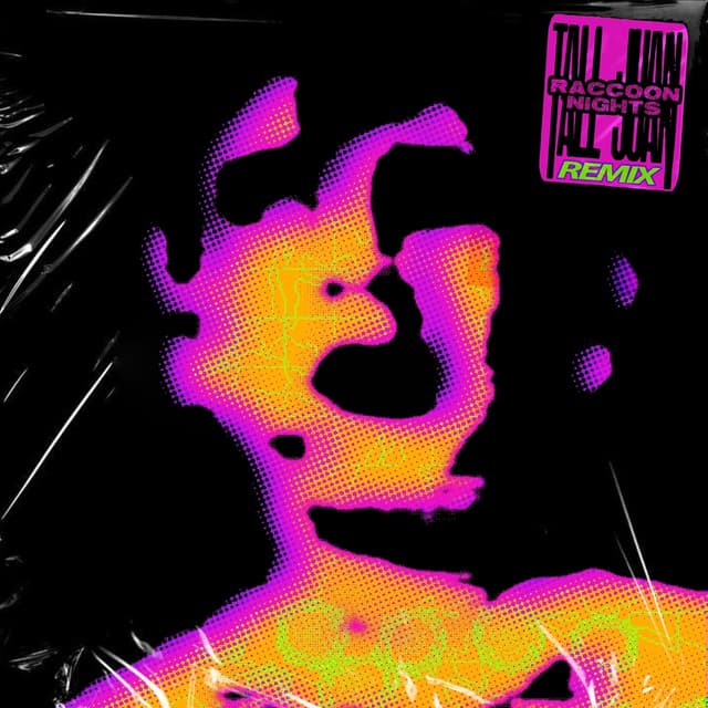 Album cover art for Raccoon Nights