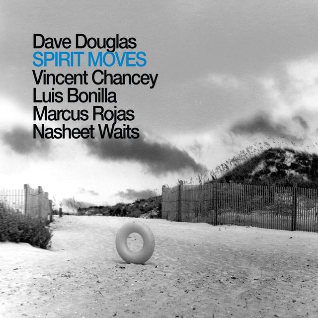 Album cover art for Spirit Moves