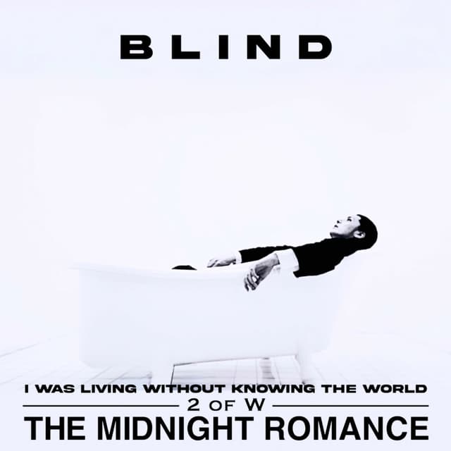 Album cover art for BLIND