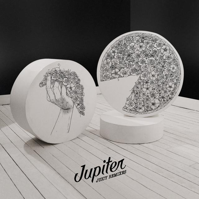 Album cover art for Juicy Remixes