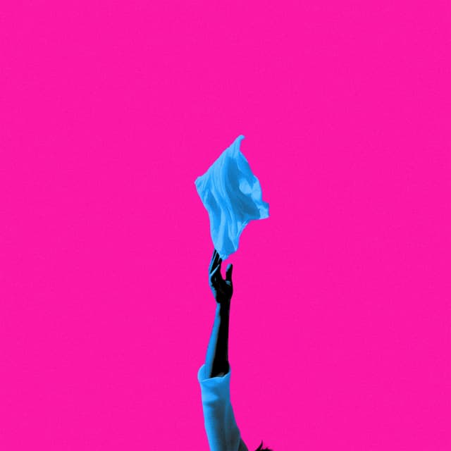 Album cover art for Fling It Up