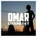 Album cover art for Ligemeget