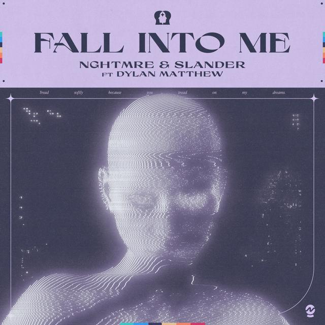 Album cover art for Fall Into Me