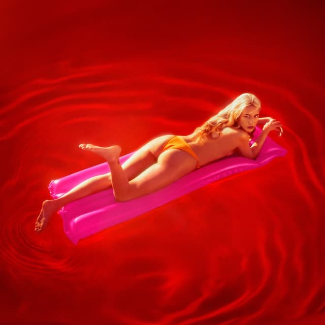 Album cover art for Gap Summer