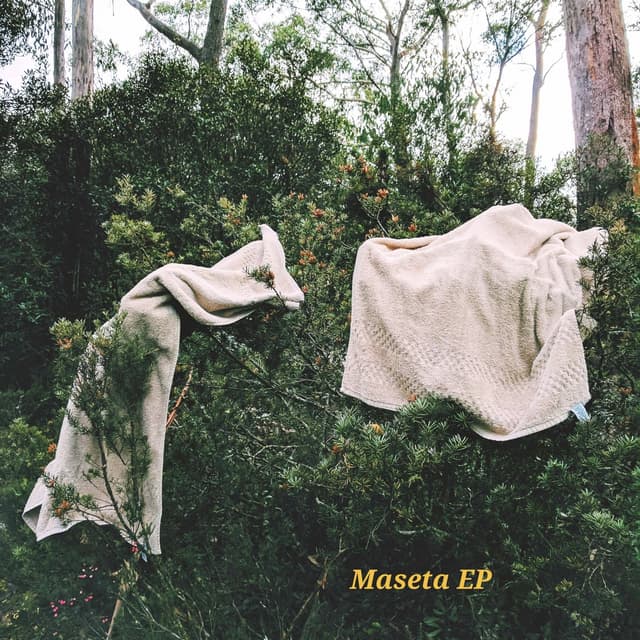 Album cover art for Maseta