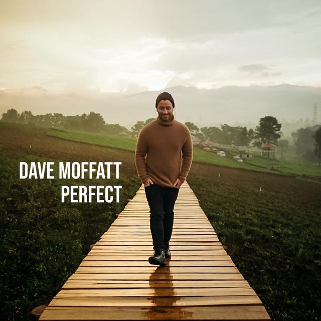 Album cover art for Perfect