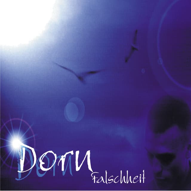 Album cover art for Falschheit