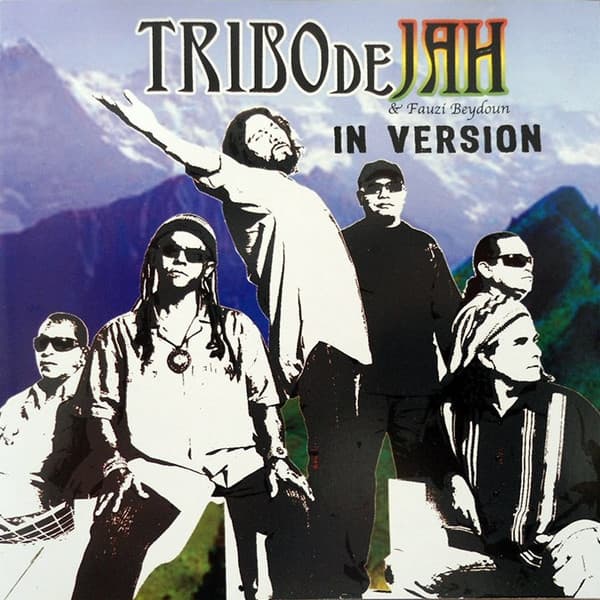 Album cover art for In Version