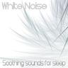 White!! Noise (747)