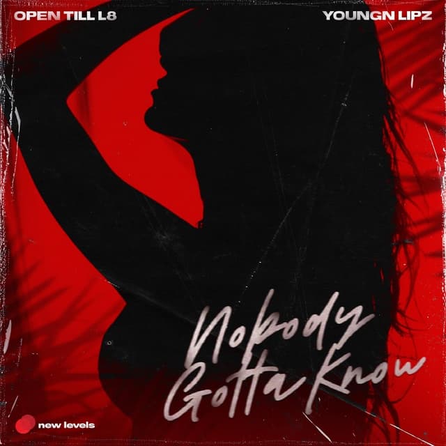 Album cover art for Nobody Gotta Know