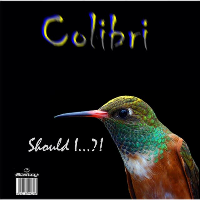 Album cover art for Should I?!