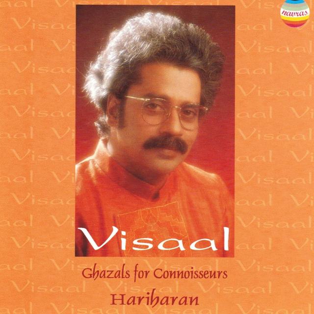 Album cover art for Visaal