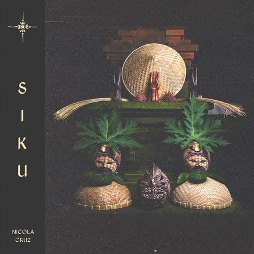 Album cover art for Siku