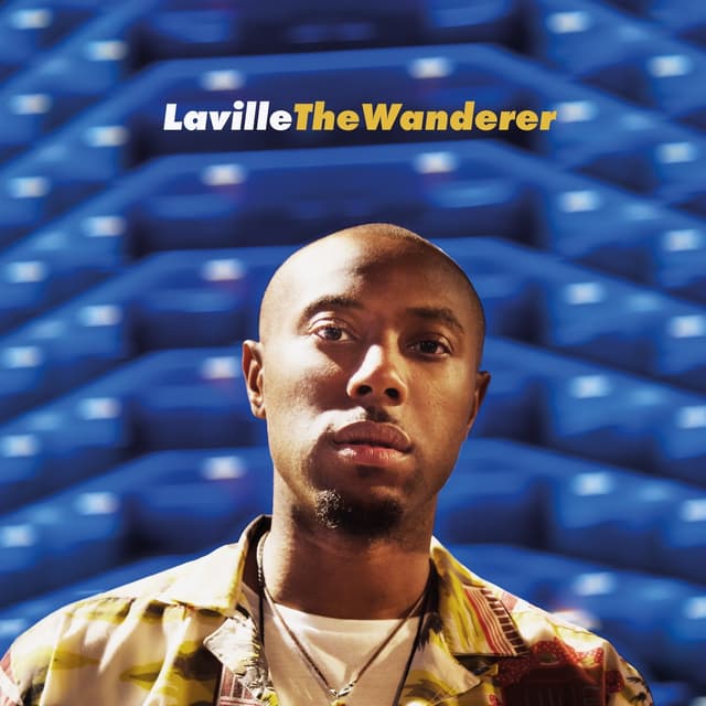 Album cover art for The Wanderer