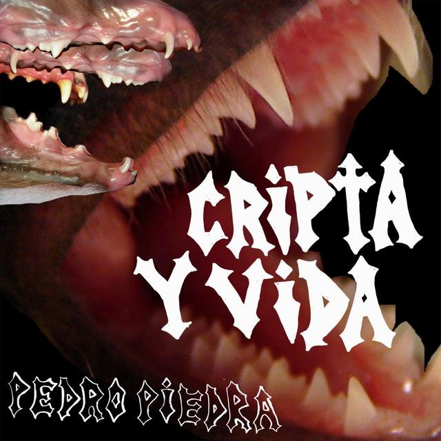 Album cover art for Cripta y vida