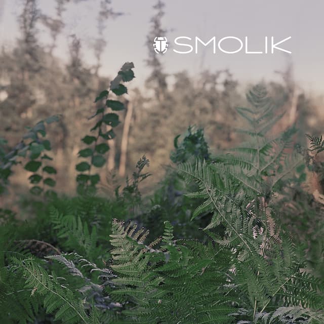 Album cover art for Smolik 2