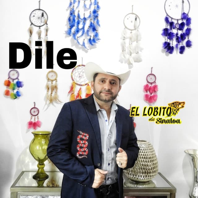 Album cover art for dile