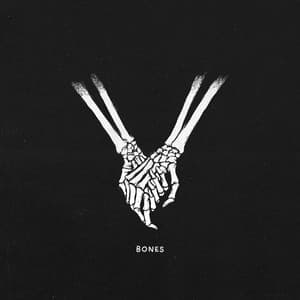 Album cover art for Bones