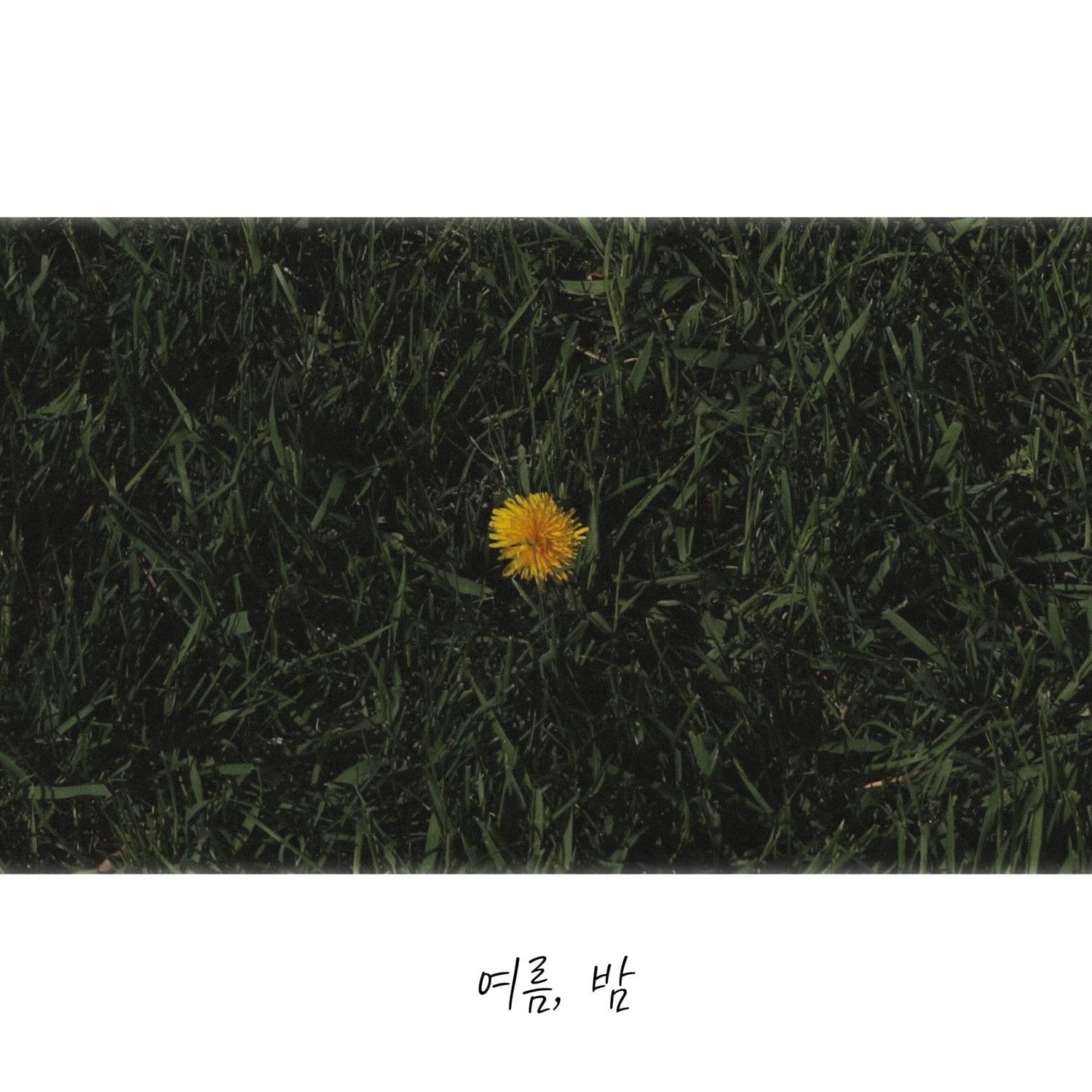 Lyric cover art