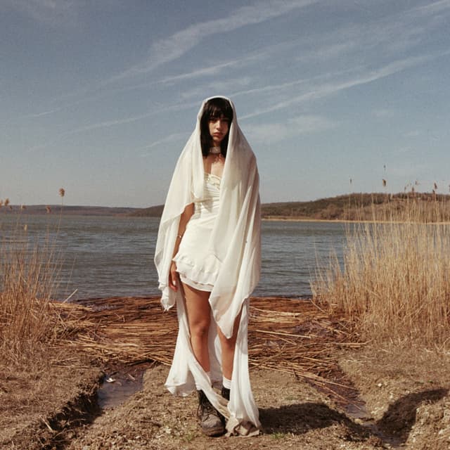 Album cover art for HAYVAN