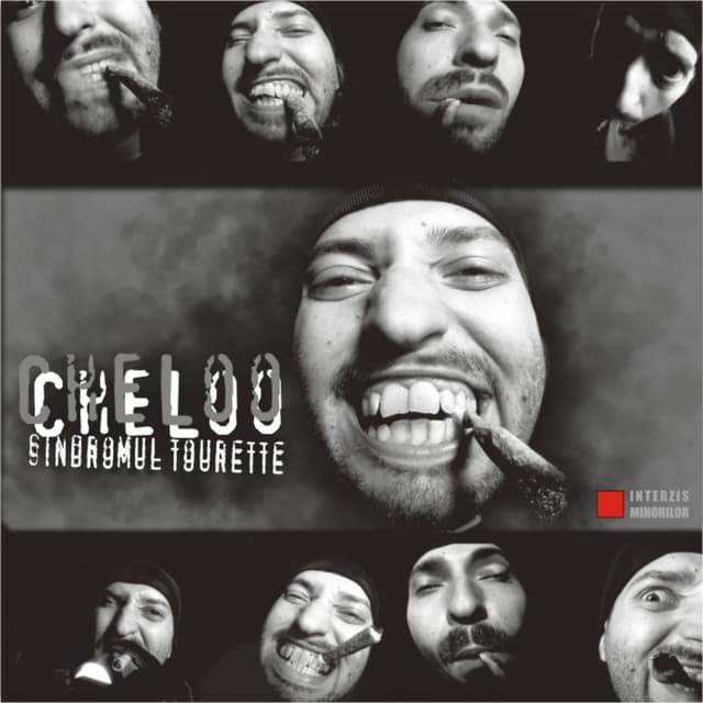 Album cover art for Sindromul Tourette