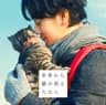 ひずみ (Hizumi)