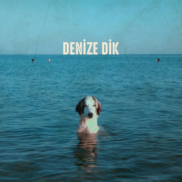 Album cover art for Denize Dik