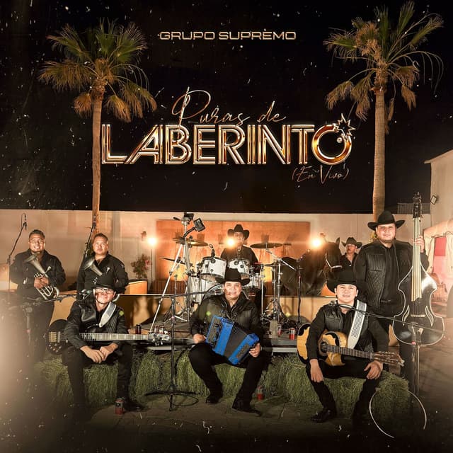 Album cover art for Puras De Laberinto (En Vivo)