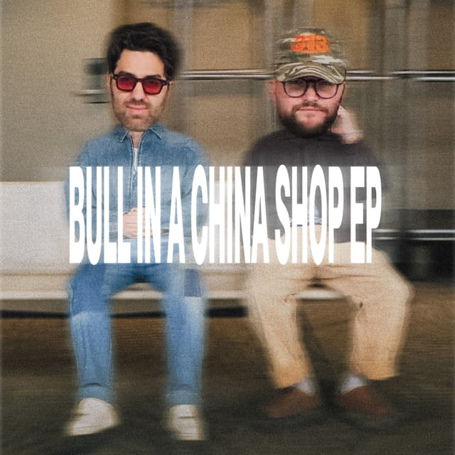 Album cover art for BULL IN A CHINA SHOP EP