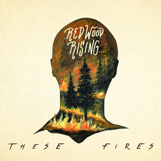 Album cover art for These Fires