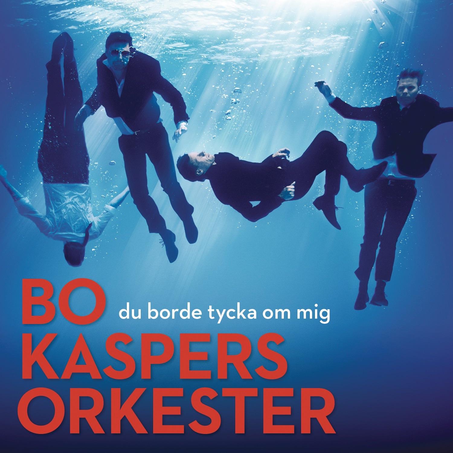 Du Borde Tycka Om Mig