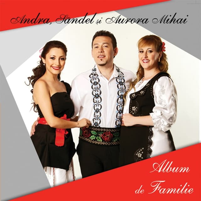 Album cover art for Album de familie