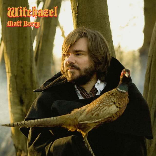 Album cover art for Witchazel