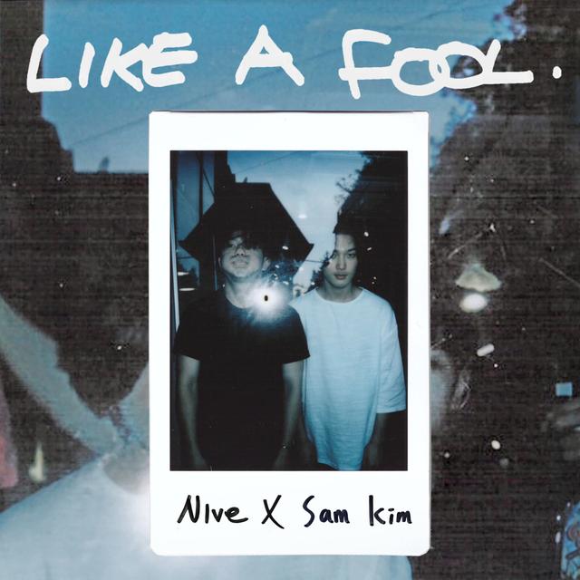 Album cover art for Like a Fool