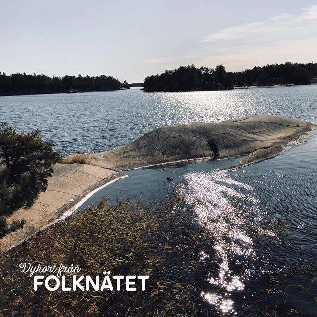 Album cover art for Visa vid vindens ängar