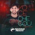 Album cover art for Você Chegou