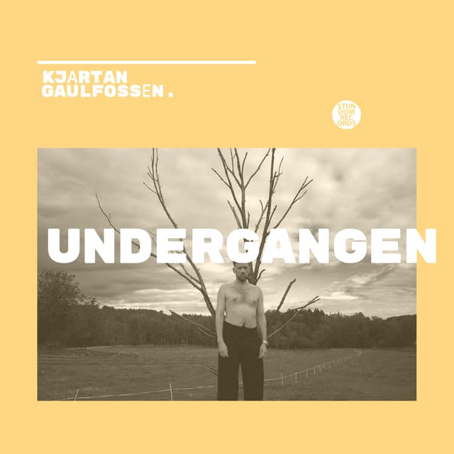 Album cover art for Undergangen