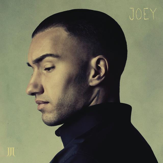 Album cover art for Joey