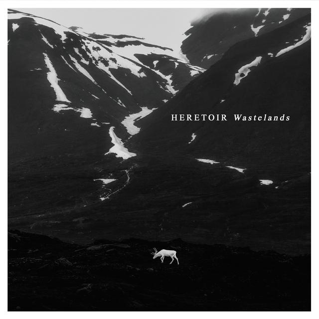 Album cover art for Wastelands