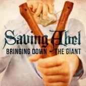Album cover art for Bringing Down the Giant