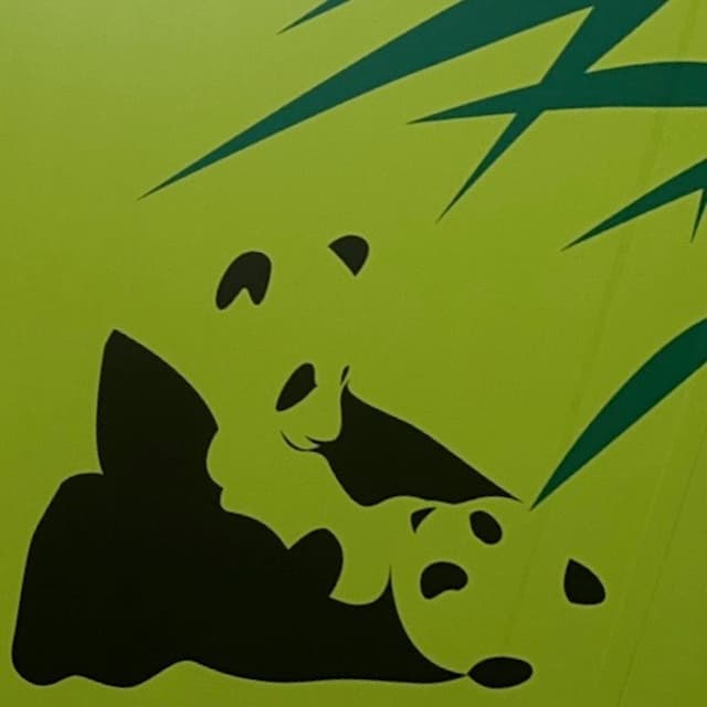 Album cover art for Bon Bon
