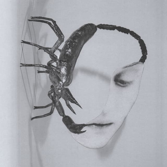 Album cover art for Touch