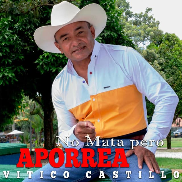 Album cover art for No Mata Pero Aporrea