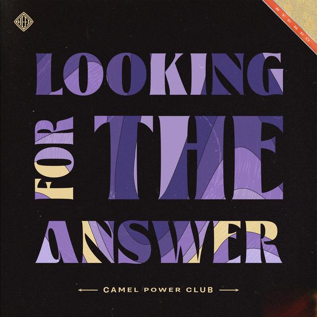 Album cover art for Looking For the Answer