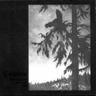 Where At Night The Wood Grouse Plays