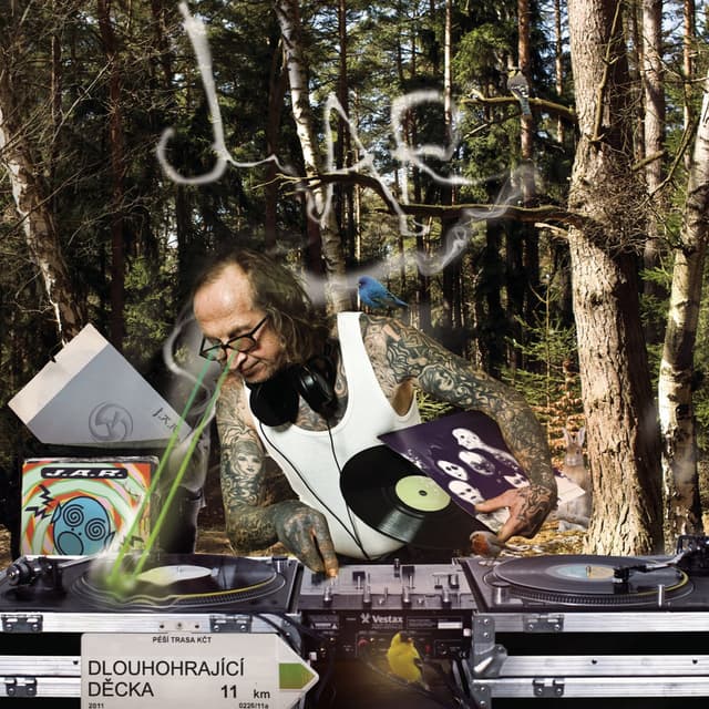 Album cover art for Dlouhohrajici Decka
