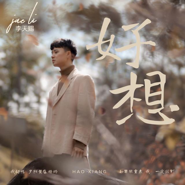 Album cover art for 好想