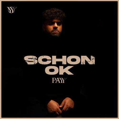 Album cover art for Schon ok