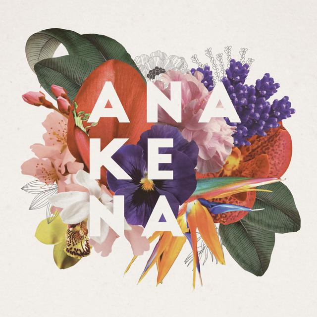 Album cover art for Anakena